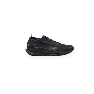 Nike de trail Nike Pegasus 5 Gore-Tex