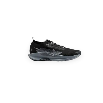 Nike de trail Nike Pegasus Trail 5 GORE-TEX