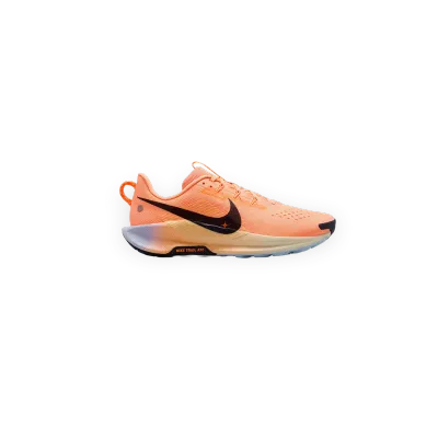 Nike de trail Nike Pegasus Trail 5