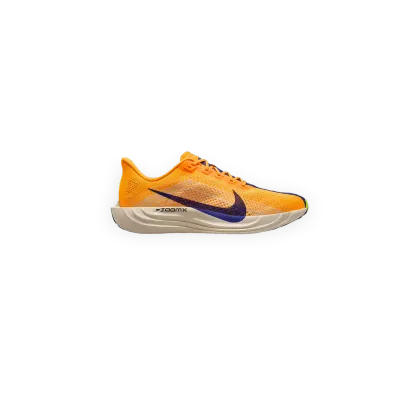 Nike Pegasus Plus