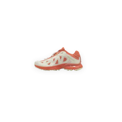 Salomon Xt-Whisper Void Ama Lou