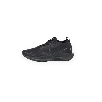 Nike Pegasus Trail 5 *Gore-Tex*