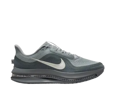 Nike Pegasus Premium "Wolf Grey"