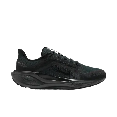 Nike Pegasus Gore-Tex