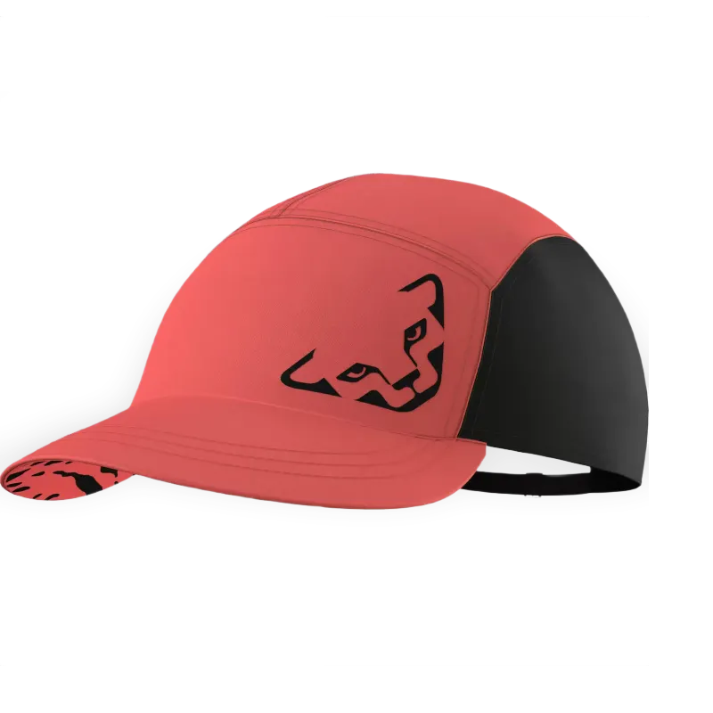 Dynafit Gorra 5 Panel Dynafit Alpine