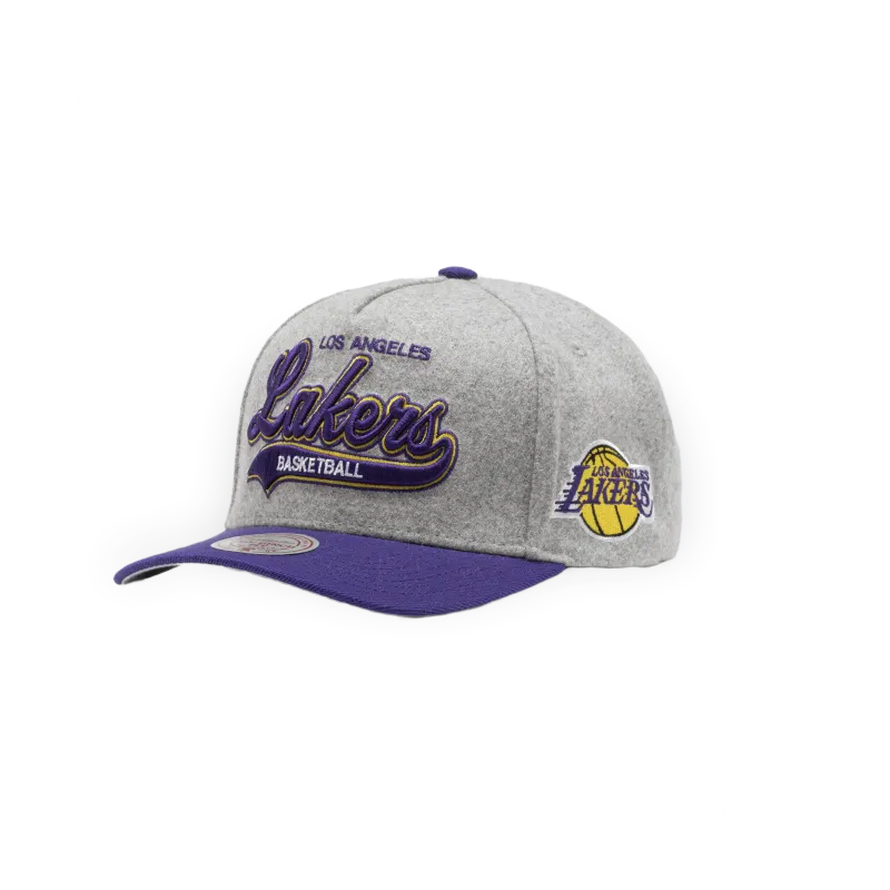 Mitchell & Ness Nba Tailsweeps Pro Snapback Los Angeles Lakers