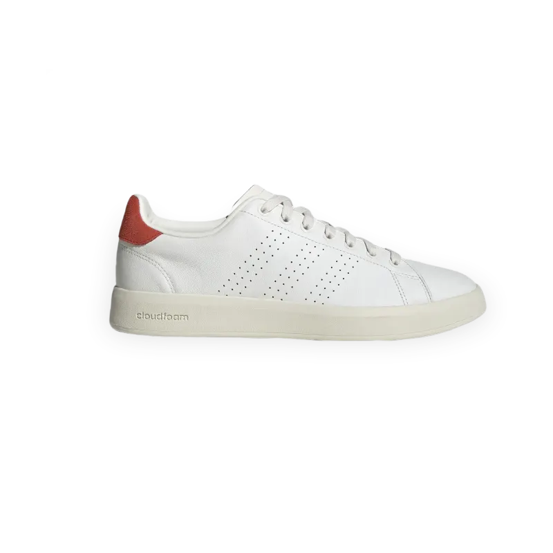 adidas Advantage Premium