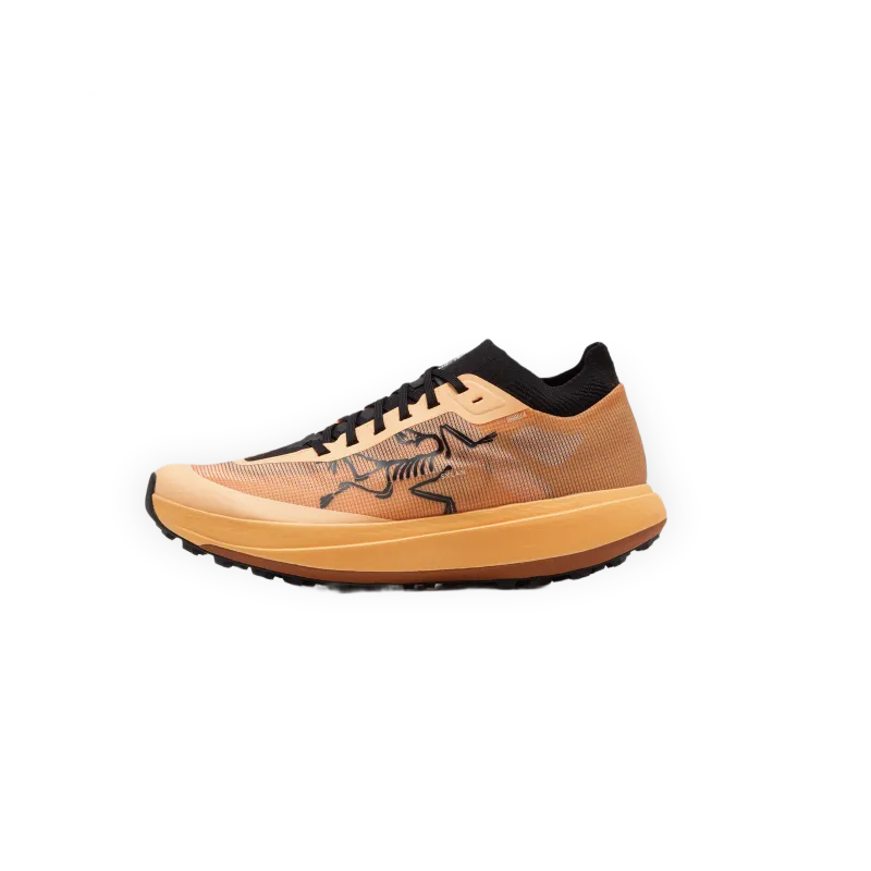 Arc´teryx Sylan Pro