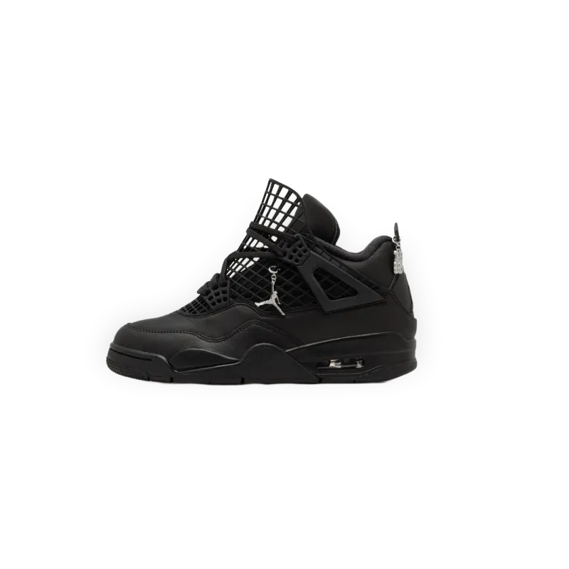 Jordan WMNS Air Jordan 4 Net