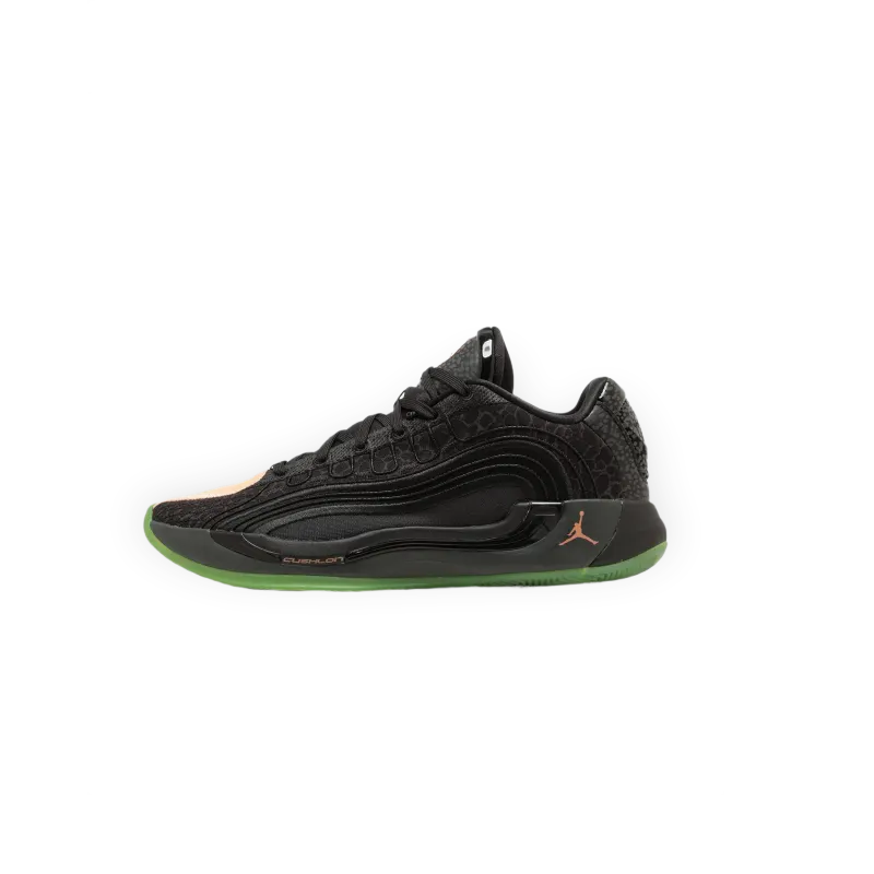 Jordan Luka 4
