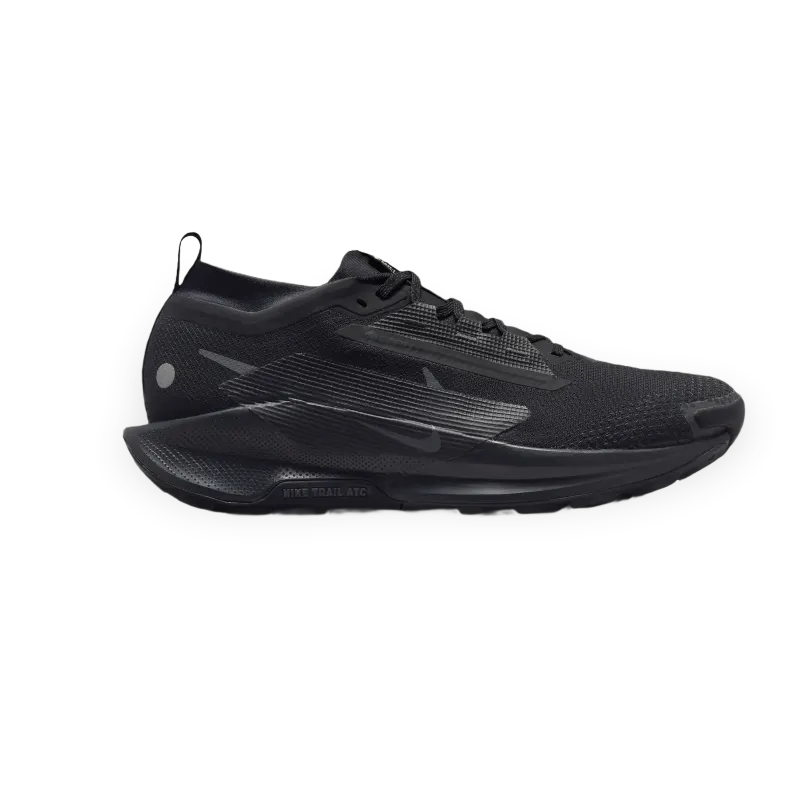 Nike de trail Nike Pegasus 5 Gore-Tex