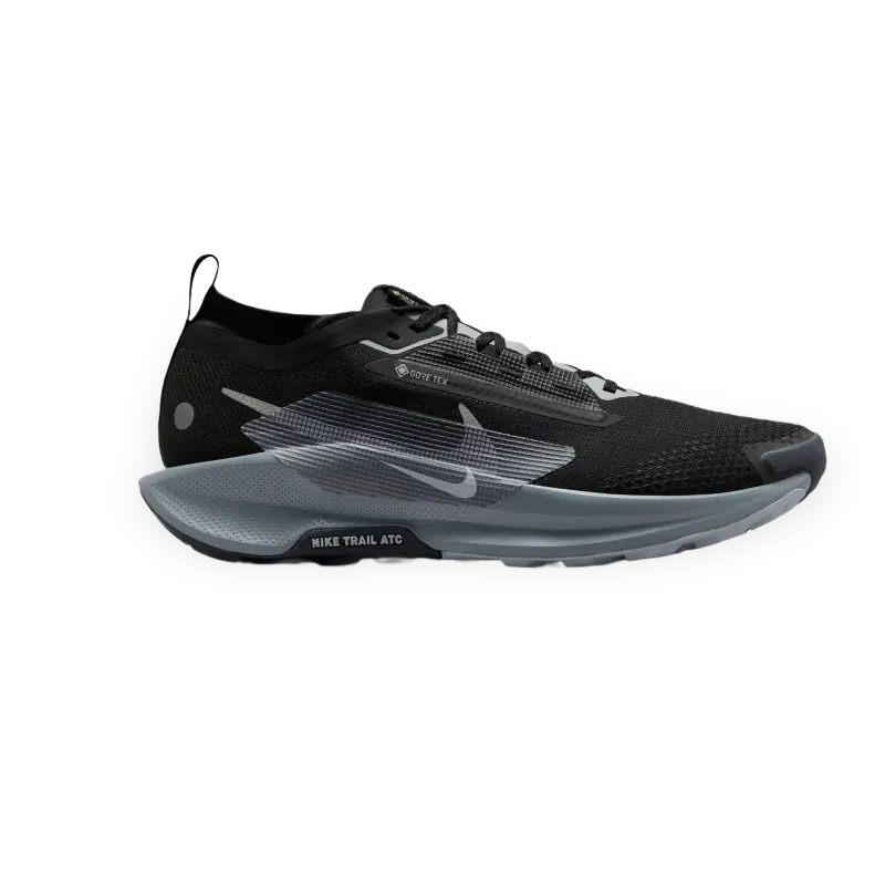 Nike de trail Nike Pegasus Trail 5 GORE-TEX