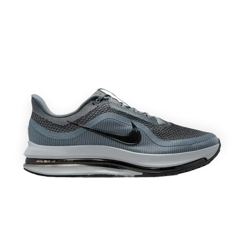 Nike Pegasus Premium "Cool Grey"