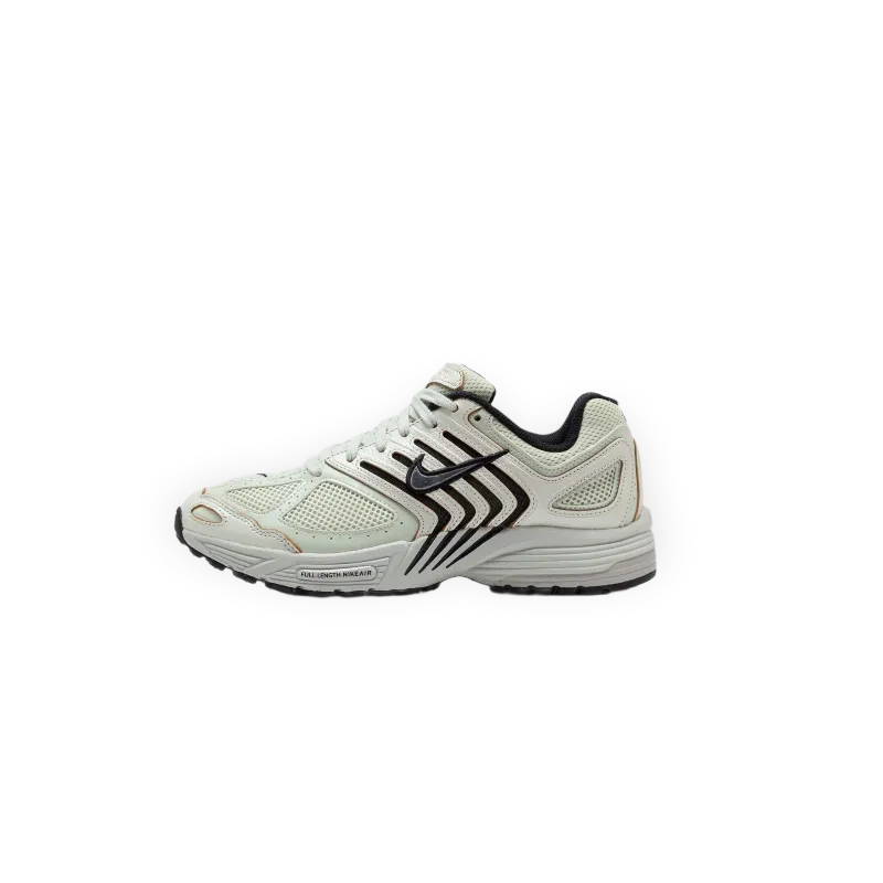 Nike WMNS Air Peg 2k5