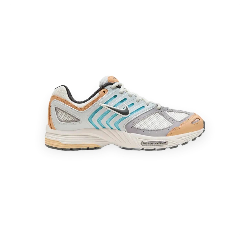 Nike Air Pegasus 2005