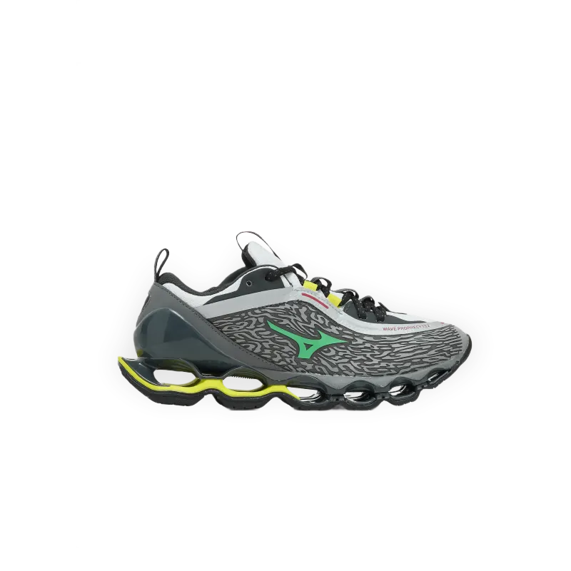 Mizuno Wave Prophecy 13.2