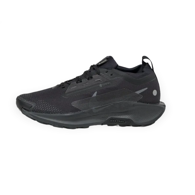 Nike Pegasus Trail 5 *Gore-Tex*