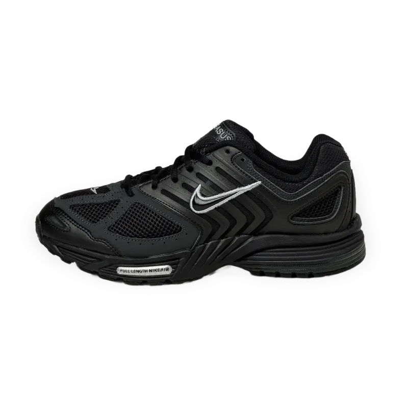 Nike Air Pegasus 2005
