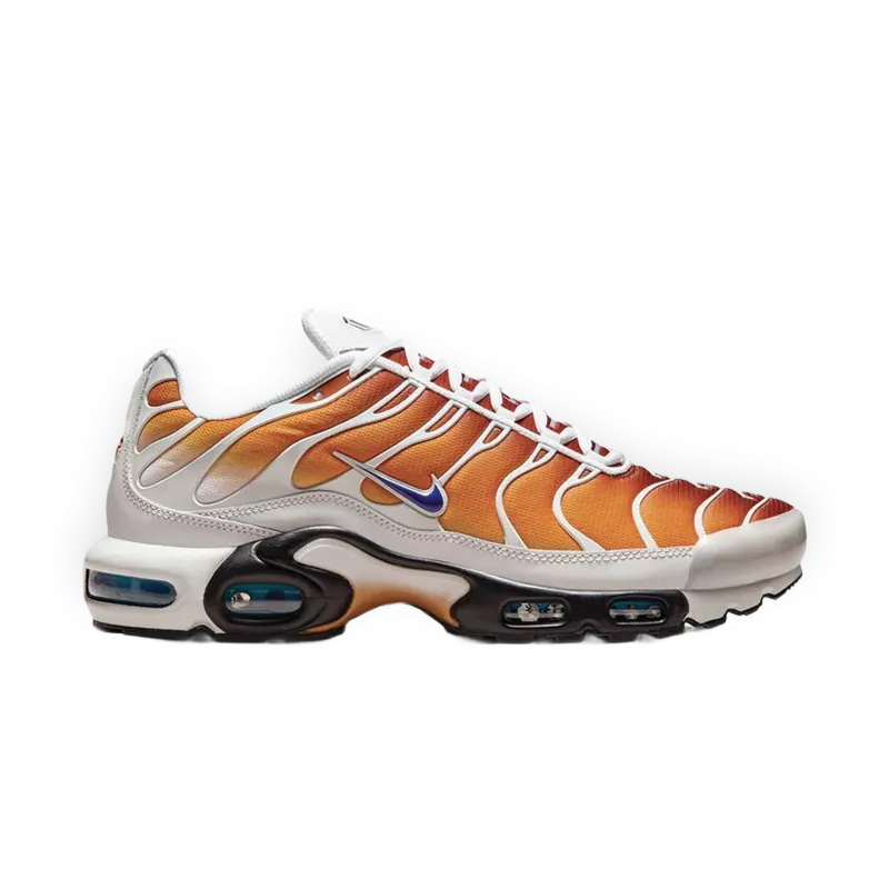 Nike Air Max Plus One Black Down "Reverse"