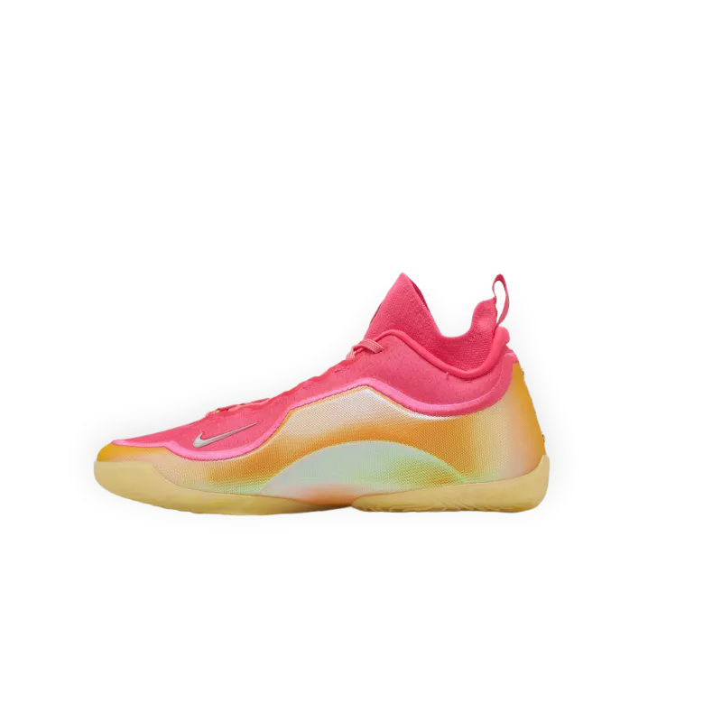 Nike Lebron Xxiii Elite