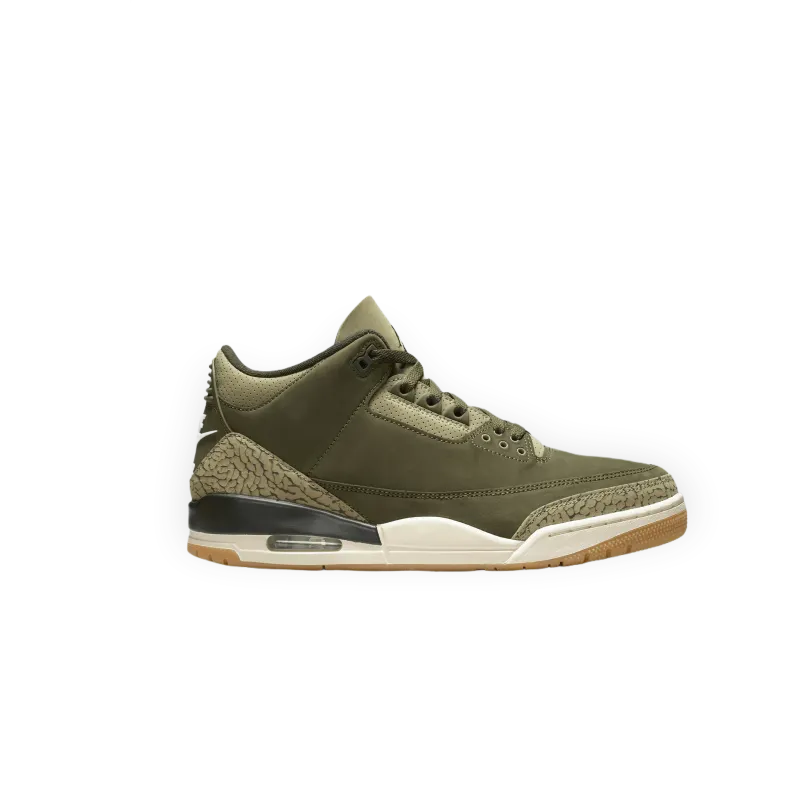 Jordan Air Jordan 3 Retro "Family Affair"