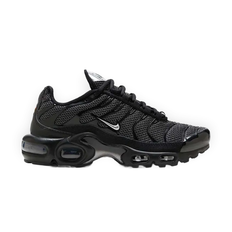 Nike Air Max Plus W "Black Silver"