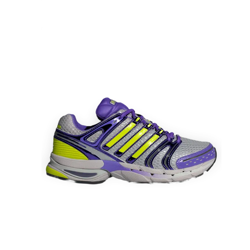 adidas W Adistar Control 5 grigie con verde e viola