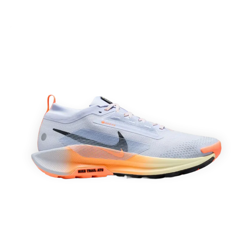 Nike de trail Nike Pegasus Trail 5 GORE-TEX