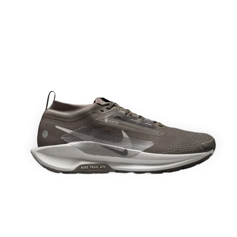 Nike Pegasus Trail 5 GORE-TEX