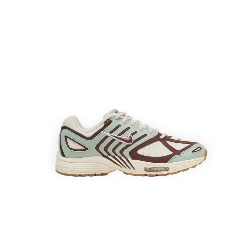 Nike Air Pegasus 2005 SE