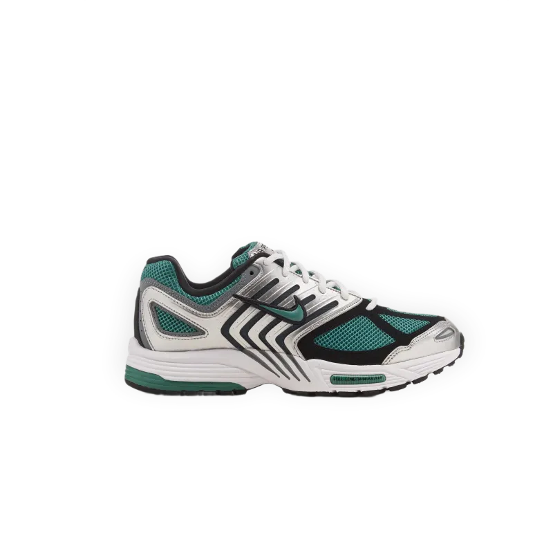 Nike Air Pegasus 2005 "Bicoastal"