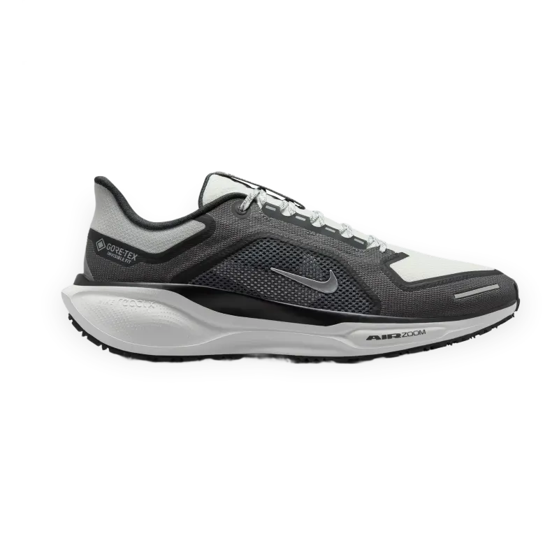 Nike Pegasus 41 GORE-TEX