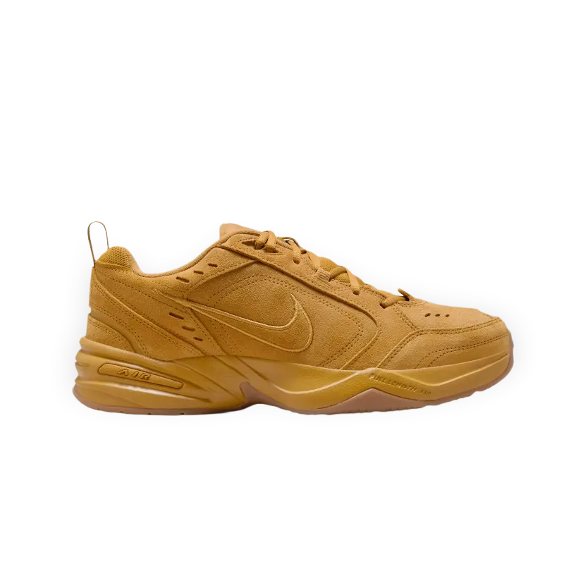 Nike indoor Nike Air Monarch SE