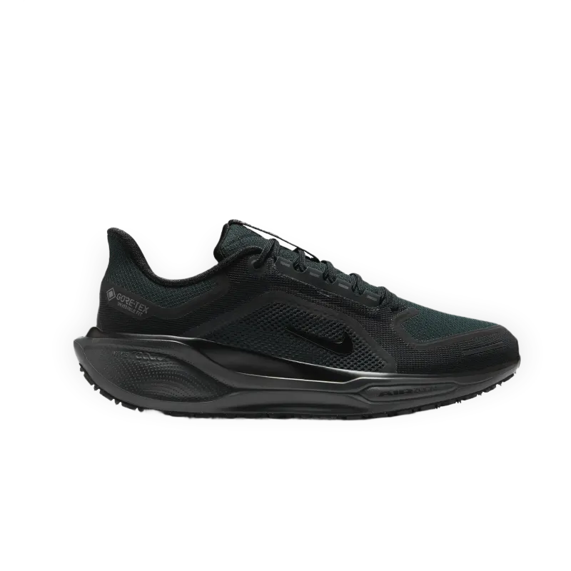 Nike Pegasus Gore-Tex