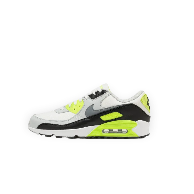 Nike Air Max 90 GTX