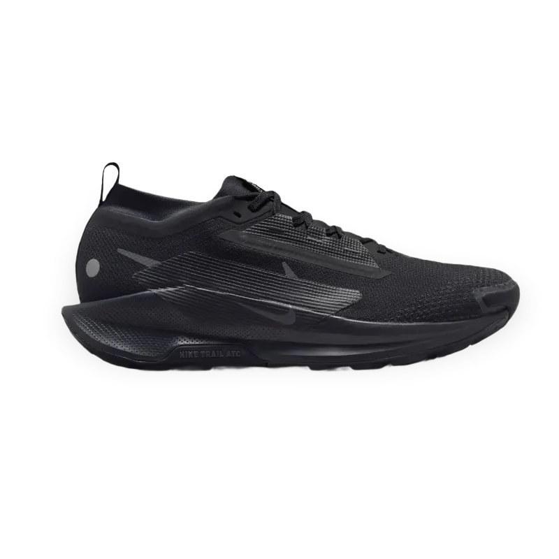 Nike de trail Nike Pegasus 5 Gore-Tex