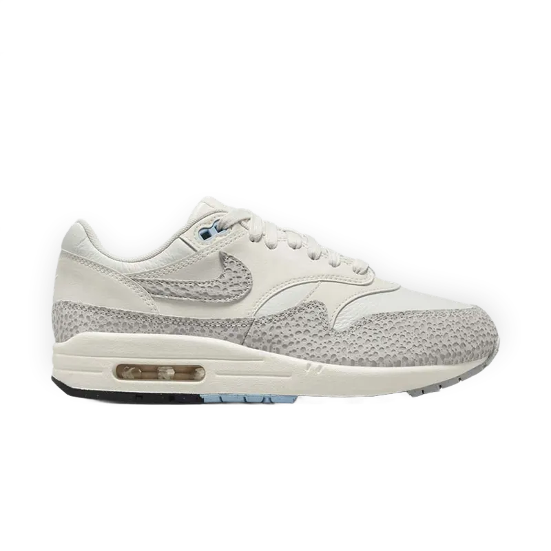 Nike Air Max 1 SFR
