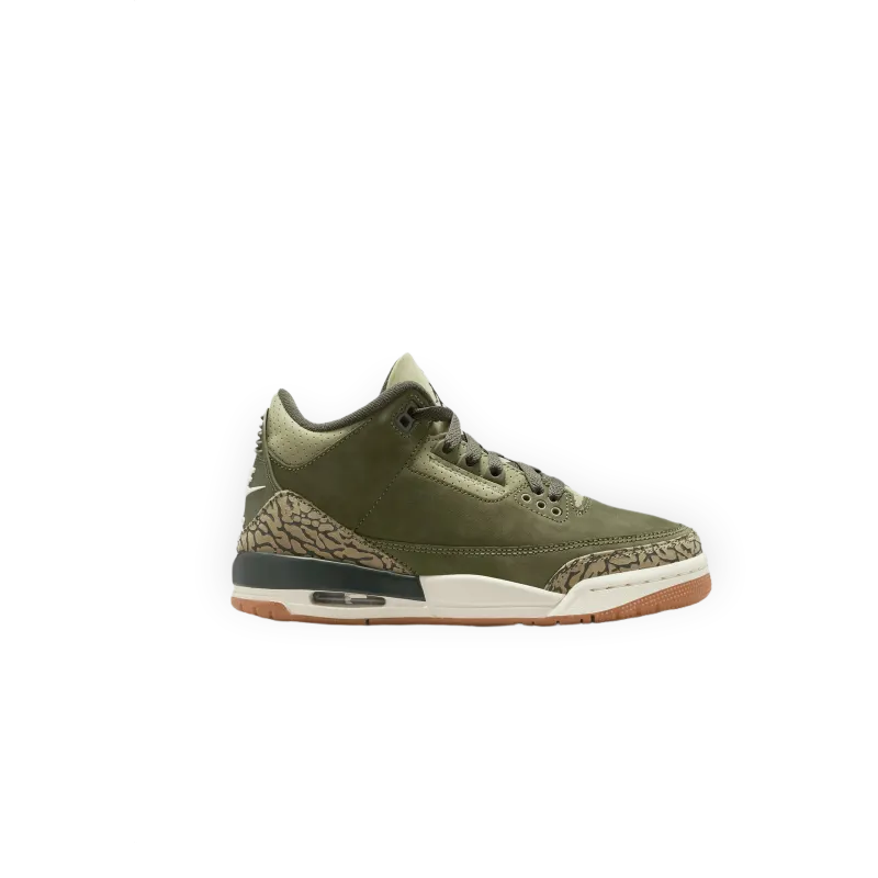 Jordan Air Jordan 3 Retro "Family Affair" (GS)