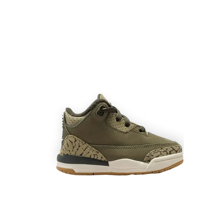 Jordan Air Jordan 3 Retro TD "Family Affair"