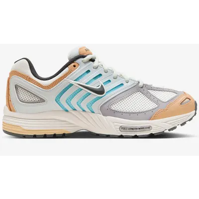 Nike Air Pegasus 2005