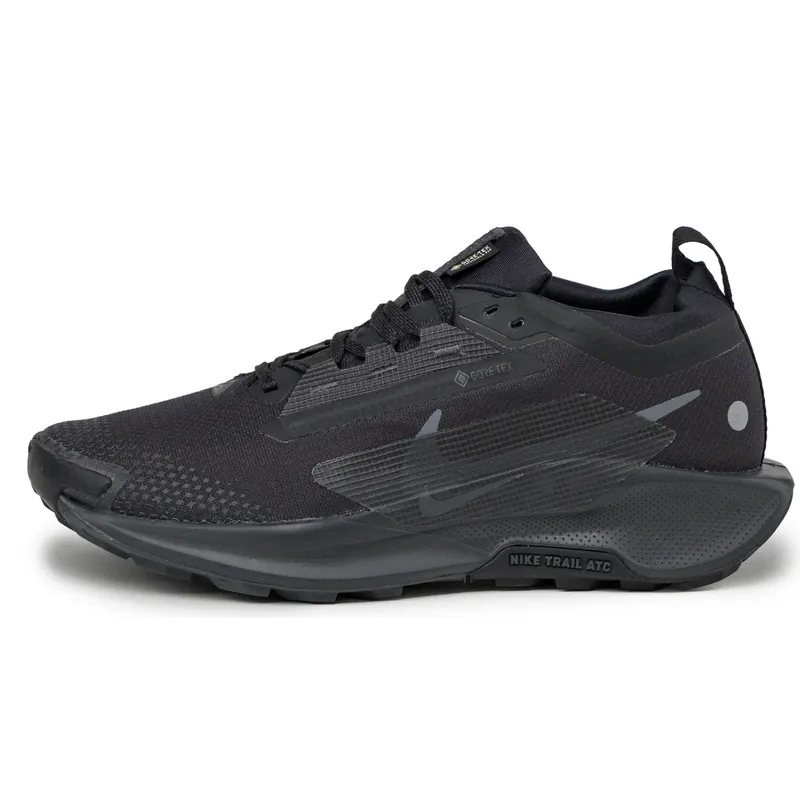 Nike Pegasus Trail 5 *Gore-Tex* SP