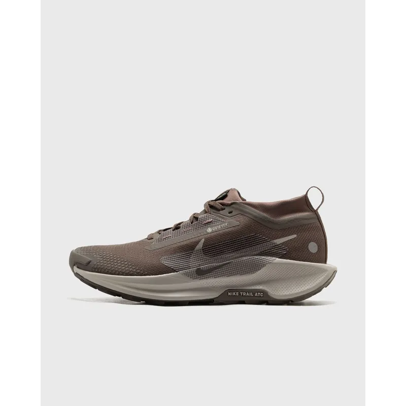 Nike Pegasus Trail 5 GTX